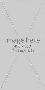 Rectangle Tall 800x400